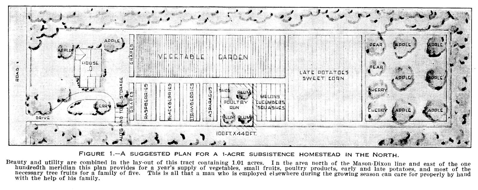 Figure 1 from the bulletin: a plan drawing of a one-acre subsistence homestead for the North, 100 by 440 feet, with house, drive, grapes, vegetable garden, berries, asparagus, poultry run, melons, late potatoes and sweet corn, and an orchard of apple, pear, and cherry trees