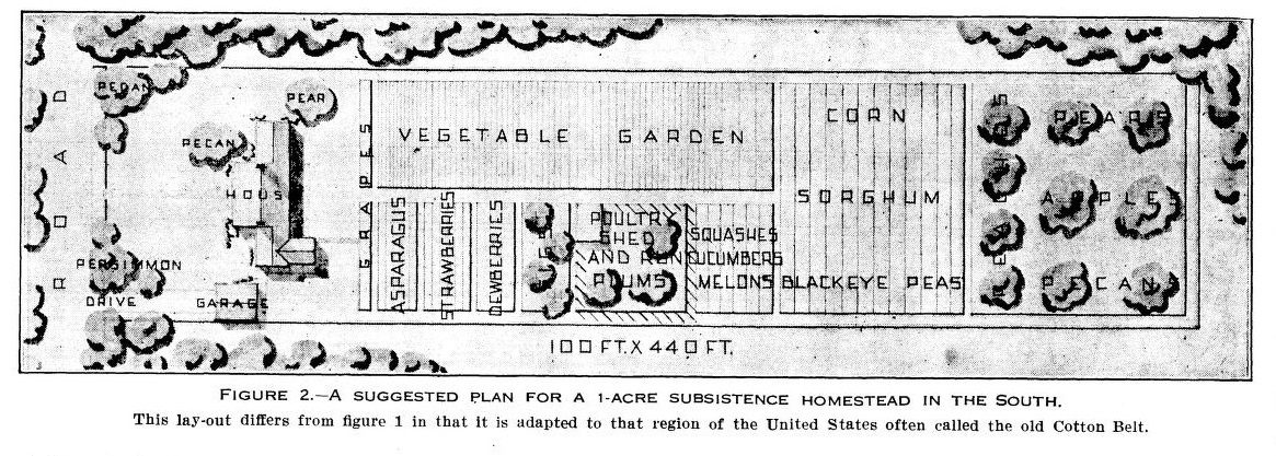 Figure 2 from the bulletin: a plan drawing of a one-acre subsistence homestead for the South, with house, garage, grapes, vegetable garden, strawberries, dewberries, poultry shed and run, squashes and melons, corn, sorghum, blackeye peas, and pear, apple, and pecan trees